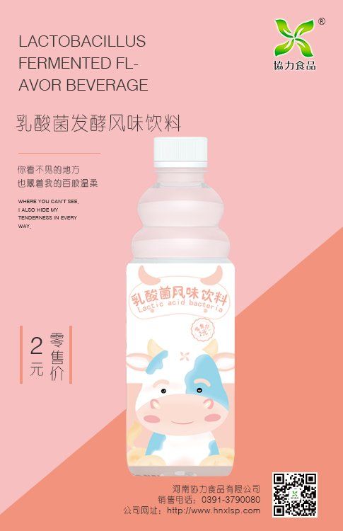 乳酸菌風(fēng)味飲料1*24瓶*500ml